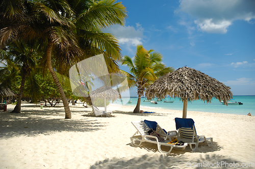 Image of Tropical beach. The Dominican Republic, Saona Island