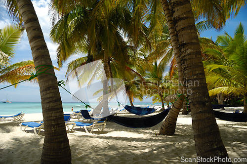 Image of Hammocks Tropical beach. The Dominican Republic, Saona Island