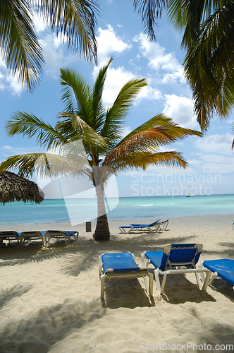 Image of Tropical beach. The Dominican Republic, Saona Island