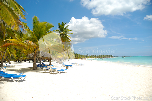 Image of Tropical beach. The Dominican Republic, Saona Island