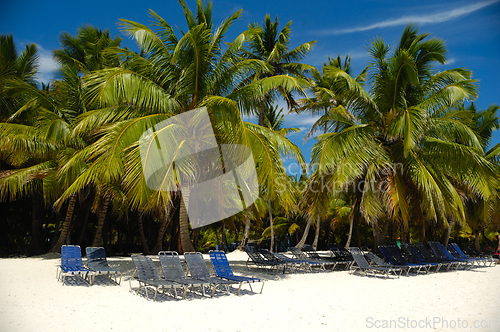 Image of Tropical beach. The Dominican Republic, Saona Island