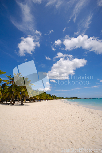 Image of Tropical beach. The Dominican Republic, Saona Island