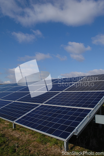 Image of Rows of solar panels