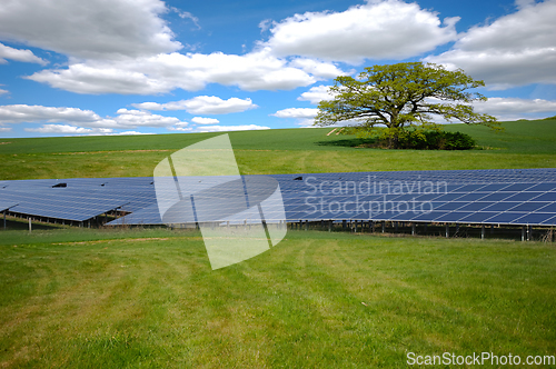 Image of Rows of solar panels and green nature