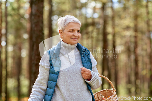 Image of senior woman picking mushrooms in autumn forest