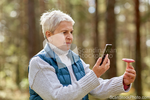 Image of senior woman using smartphone to identify mushroom