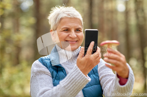 Image of senior woman using smartphone to identify mushroom