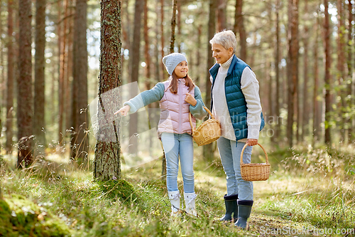 Image of grandmother and granddaughter picking mushrooms