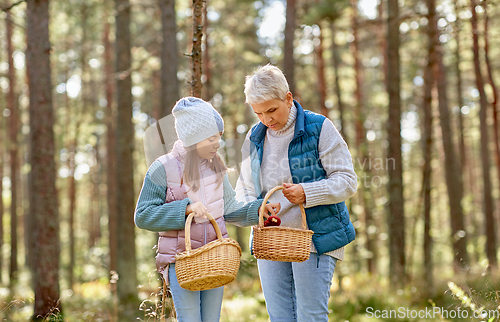 Image of grandmother and granddaughter picking mushrooms