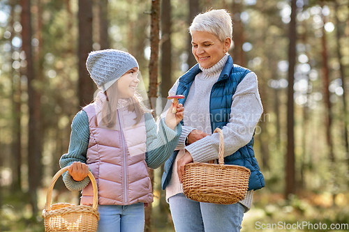 Image of grandmother and granddaughter picking mushrooms