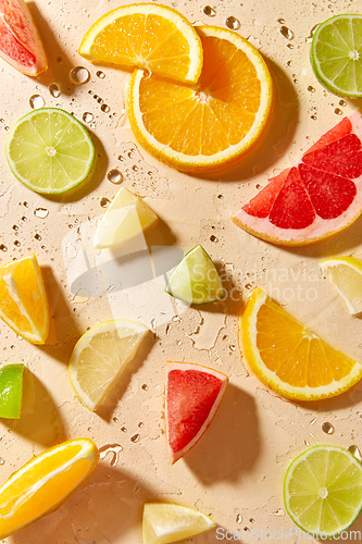 Image of slices of different citrus fruits on wet surface