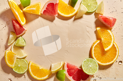 Image of frame of slices of different citrus fruits