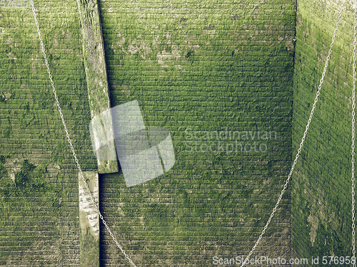 Image of Vintage looking Green moss