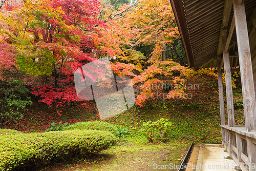 Image of Japanese tea house in Autumn