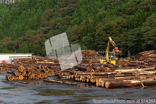 Image of Lumber Yard