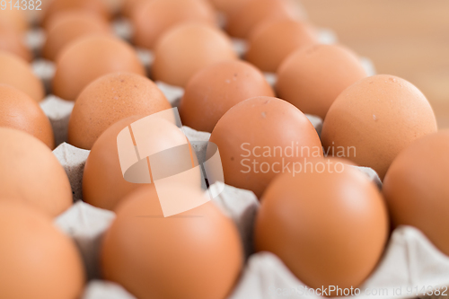 Image of Fresh chicken egg in package 