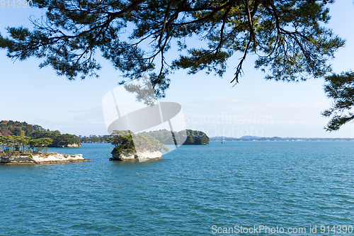 Image of Island in Matsushima Bay of Japan