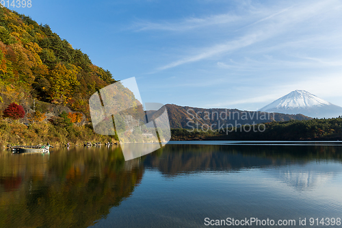 Image of Saiko Lake and mount Fuji in Autumn