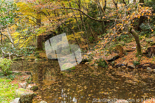 Image of Autumn Japanese temple