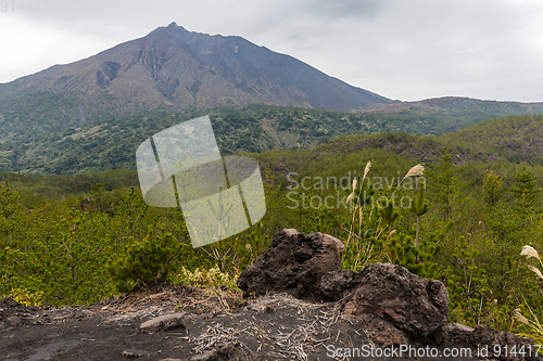 Image of Sakurajima