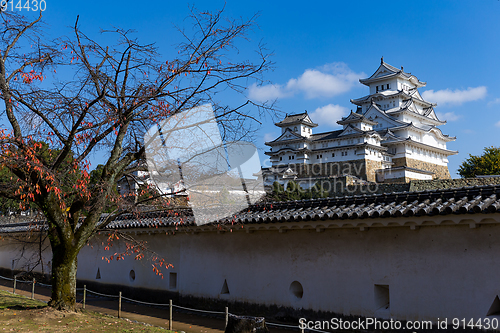 Image of Traditional White Himeji castle