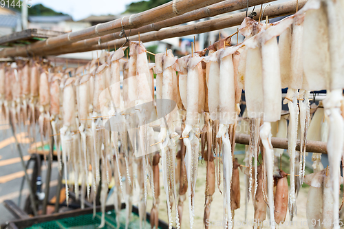 Image of Hang on the squid at outdoor