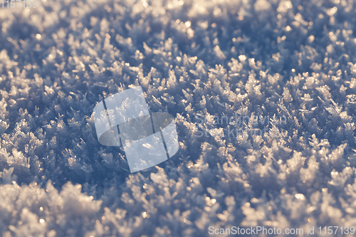 Image of After snowfall