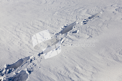 Image of Winter time, close-up