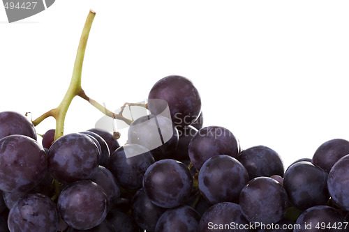 Image of Grapes