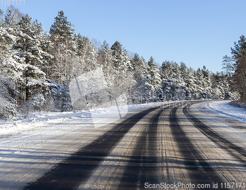Image of Winter forest road