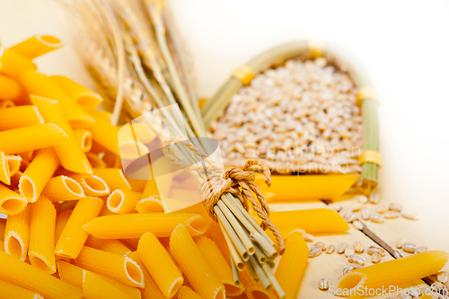 Image of Italian pasta penne with wheat