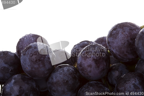 Image of Grapes