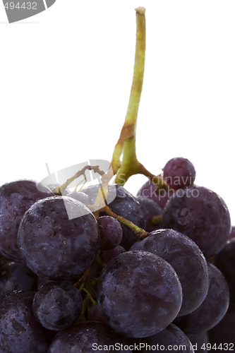 Image of Grapes