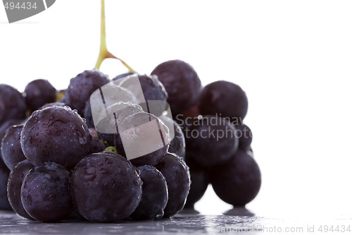 Image of Grapes