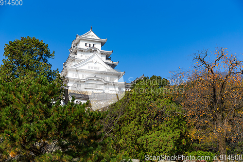 Image of Himeji castle at autumn in Japan