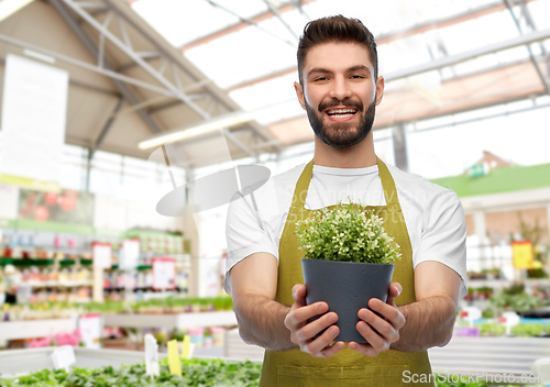 Image of smiling male gardener with flower in pot at shop