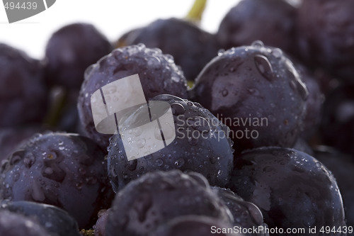 Image of grapes