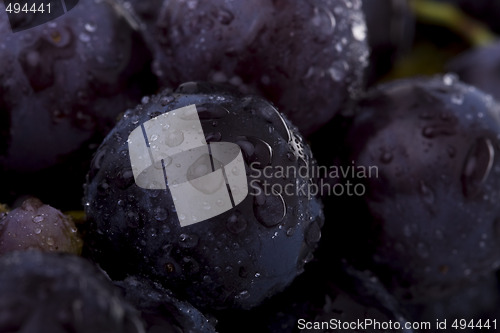 Image of Grapes