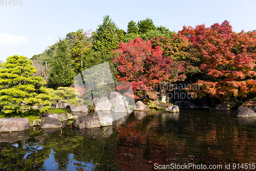 Image of Autumn Kokoen Garden