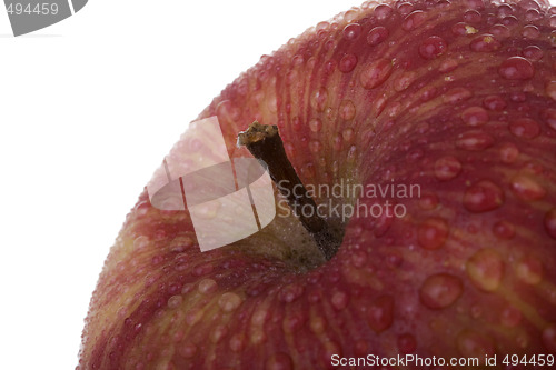 Image of apple detail
