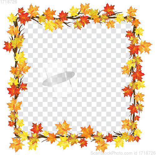 Image of Maple leaves on transparency grid