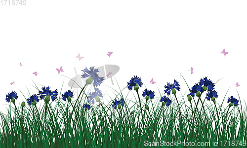 Image of Meadow color background