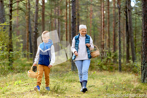 Image of grandmother and grandson with mushrooms in forest