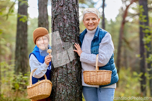 Image of grandmother and grandson with mushrooms in forest