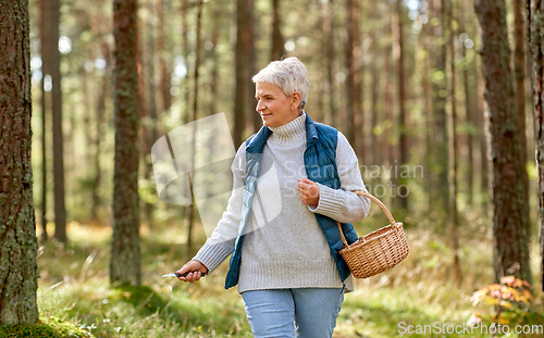 Image of senior woman picking mushrooms in autumn forest