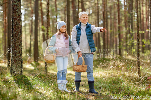 Image of grandmother and granddaughter picking mushrooms