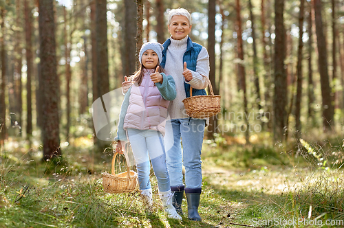 Image of grandmother and granddaughter picking mushrooms