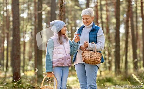 Image of grandmother and granddaughter picking mushrooms