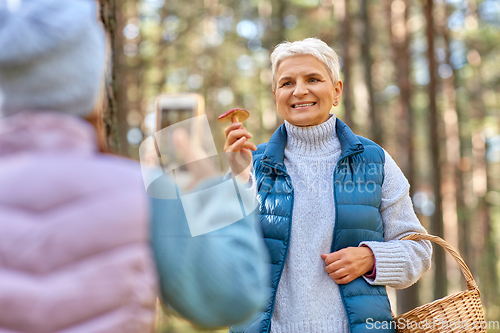 Image of granddaughter photographing grandma with mushrooms