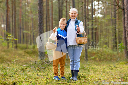 Image of grandmother and grandson with mushrooms in forest